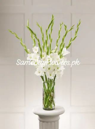 Same Day Flowers Karachi - SameDayFlowers.pk
