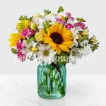 Beauty of Sunflower
