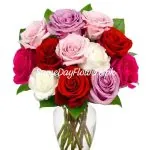 Roses Delivery Pakistan - SameDayFlowers.pk