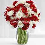 Fresh Flowers Pakistan - SameDayFlowers.pk
