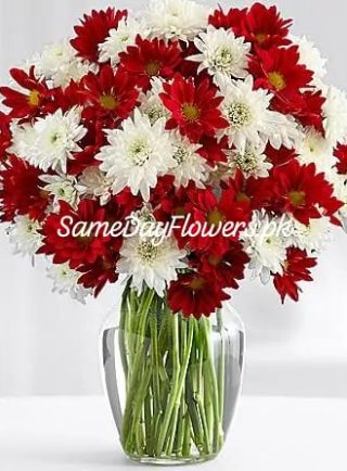 Fresh Flowers Pakistan - SameDayFlowers.pk