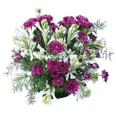 Fresh Flowers Delivery Pakistan - SameDayFlowers.pk