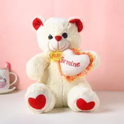 Teddy Bears Price in Pakistan - Same Day Flowers