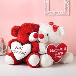 Valentine Day Teddy Bear Gifts Lahore - Same Day Flowers