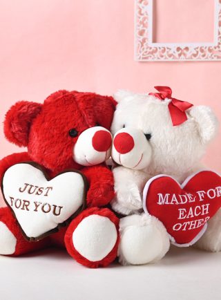 Valentine Day Teddy Bear Gifts Lahore - Same Day Flowers