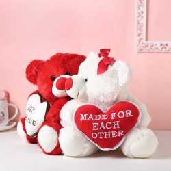 Valentine Day Teddy Bear Gifts Lahore - Same Day Flowers