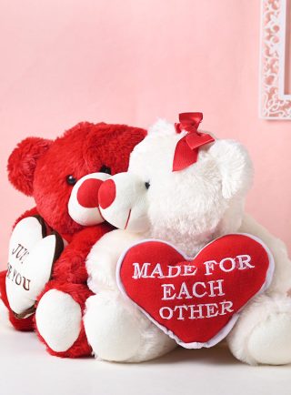 Valentine Day Teddy Bear Gifts Lahore - Same Day Flowers