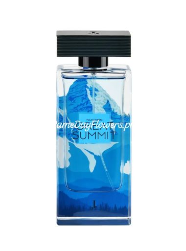 Best Perfume for Men Pakistan - SameDayFlowers.pk