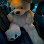 Teddy Bear Delivery Lahore - SameDayFlowers.pk