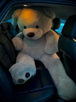 Teddy Bear Delivery Lahore - SameDayFlowers.pk