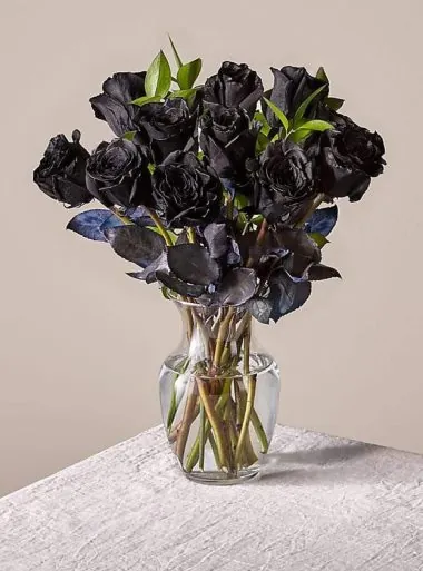 Black Rose Delivery Pakistan - SameDayFlowers.pk