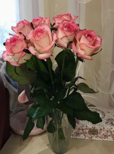 Roses Delivery Lahore -SameDayFlowers.pk