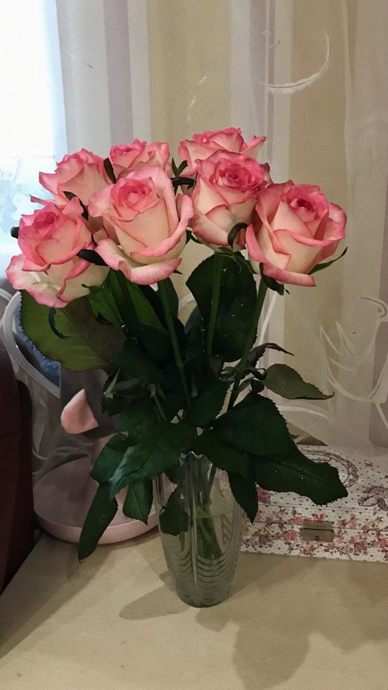 Double Pink Rose Elegance Roses Delivery Lahore -SameDayFlowers.pk