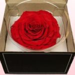 Order Now Rose Box - Same Day Flowers