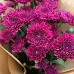 Flowers Bouquet Islamabad - SameDayFlowers.pk
