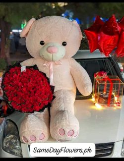 Valentine's Day Teddy Lahore - SameDayFlowers.pk
