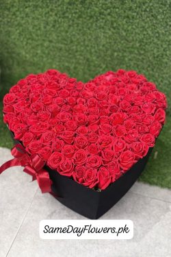 Valentine Roses Delivery Lahore - SameDayFlowers.pk