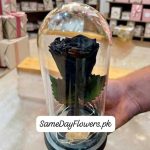 Fresh Black Rose Lahore - SameDayFlowers.pk