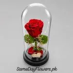 Preserved Rose Flower Lahore - SameDayFlowers.pk