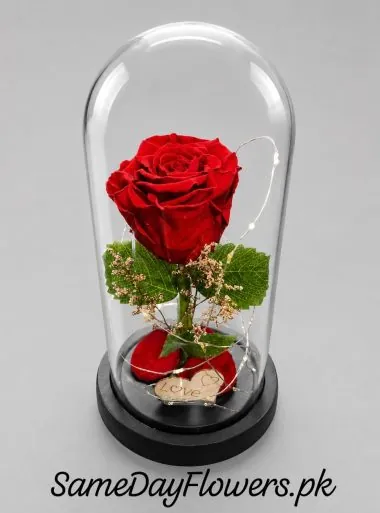 Preserved Rose Flower Lahore - SameDayFlowers.pk
