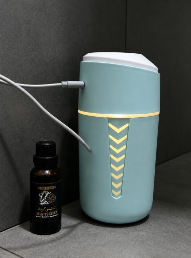 Mini Air Humidifier Lahore - SameDayFlowers.pk