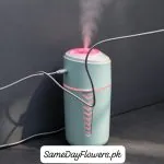 Mini Air Humidifier Lahore - SameDayFlowers.pk