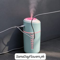 Mini Air Humidifier Lahore - SameDayFlowers.pk