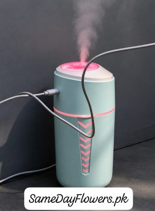 Mini Air Humidifier Lahore - SameDayFlowers.pk