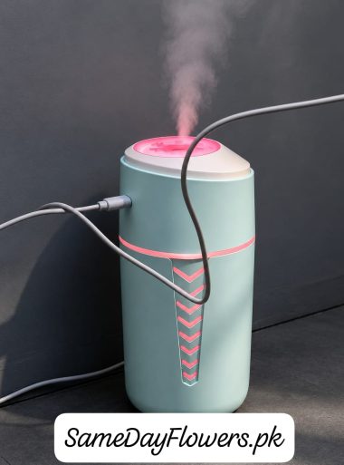 Mini Air Humidifier Lahore - SameDayFlowers.pk